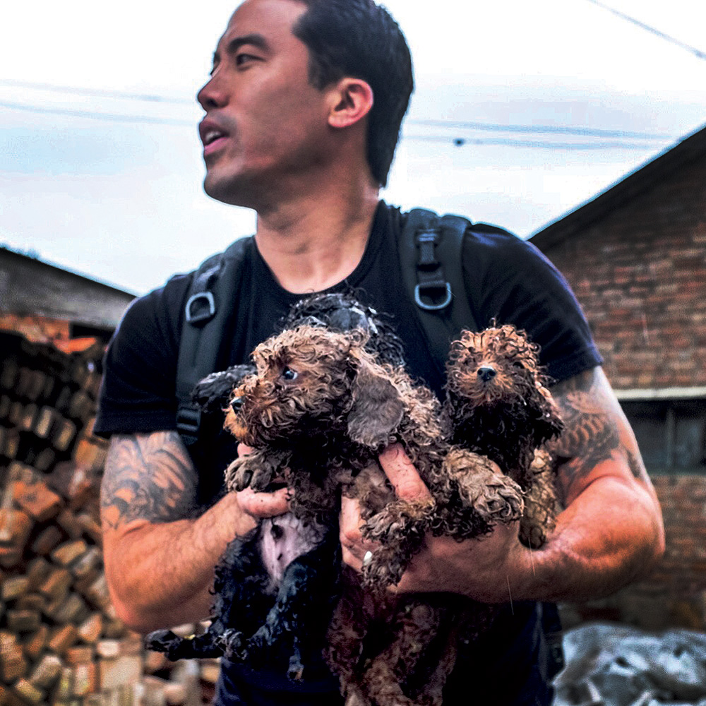 Ching rescuing puppies from a slaughterhouse 